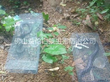 石湾驱蛇防蛇工程