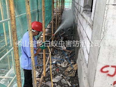 祖庙建筑白蚁预防工程